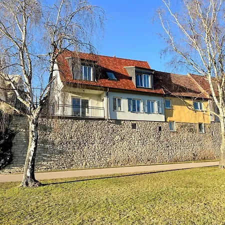 Schoenes Single Mit Blick Auf Den Main *