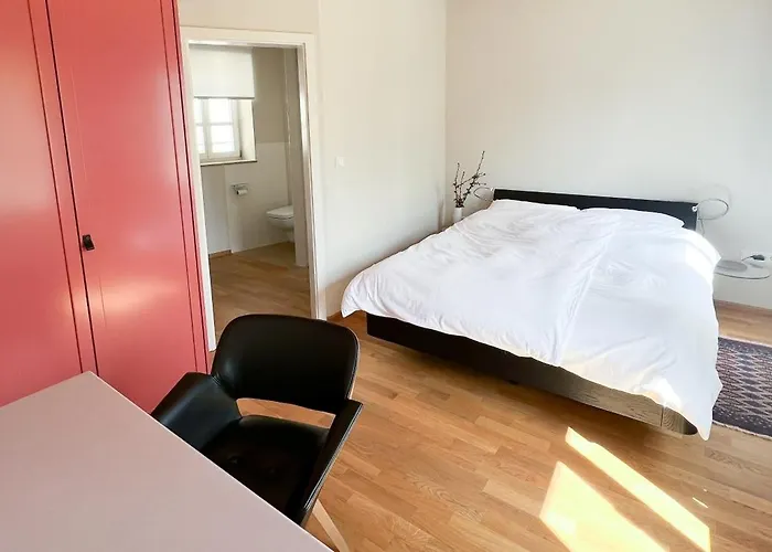 Schoenes Single Mit Blick Auf Den Main *
