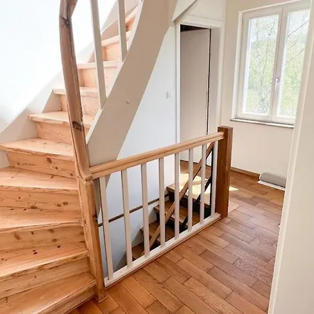 Schoenes Single Mit Blick Auf Den Main