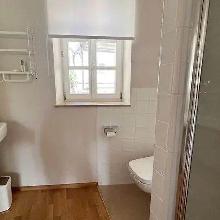 Apartment Schoenes Single Mit Blick Auf Den Main